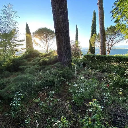 Antica Con Giardino *