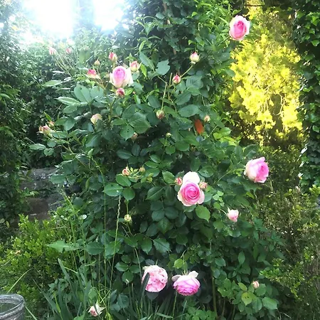 Antica Con Giardino