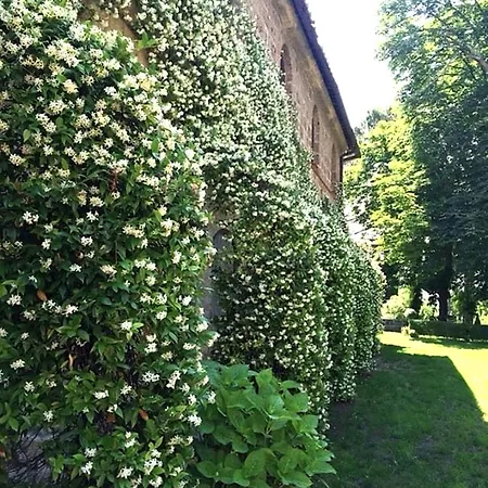 Antica Con Giardino Pousada