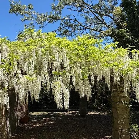 Antica Con Giardino * Bomarzo